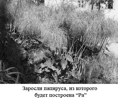 По следам Адама - i_017.jpg