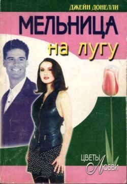 Книга Мельница на лугу