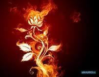 Книга Аника (СИ)