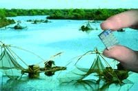 Журнал «Компьютерра» №38 - pic_42.jpg