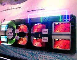 Журнал «Компьютерра» № 12 от 28 марта 2006 года - _632n22p2.jpg