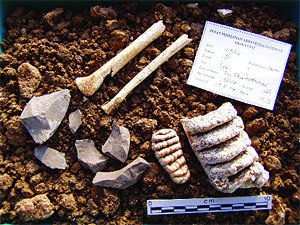 Журнал «Компьютерра» № 23 от 20 июня 2006 года - _643c3m2.jpg