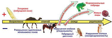 Журнал «Компьютерра» № 24 от 27 июня 2006 года - _644d17k1.jpg