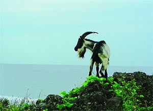 Журнал «Компьютерра» № 25-26 от 11 июля 2006 года (645 и 646 номер) - _645a16r915.jpg