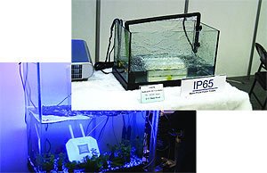 Журнал «Компьютерра» № 25-26 от 11 июля 2006 года (645 и 646 номер) - _645w16t920.jpg