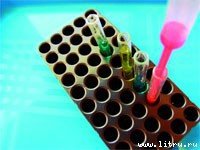 Журнал «Компьютерра» № 33 от 12 сентября 2006 года - _653k3a41.jpg