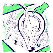 Журнал «Компьютерра» № 40 от 31 октября 2006 года - _660w4h3.jpg