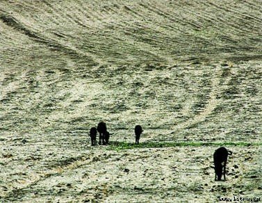 Журнал «Компьютерра» № 45 от 05 декабря 2006 года - _665w15l3.jpg