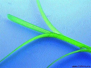 Журнал «Компьютерра» № 46 от 12 декабря 2006 года - _666s1b912.jpg