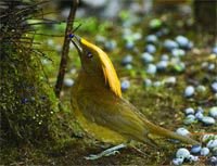 Журнал «Компьютерра» № 6 от 14 февраля 2006 года - _626e3j3.jpg