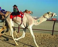 Журнал «Компьютерра» № 6 от 14 февраля 2006 года - _626f2l4.jpg