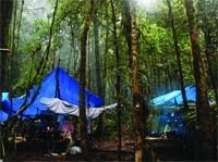 Журнал «Компьютерра» № 6 от 14 февраля 2006 года - _626h3e1.jpg