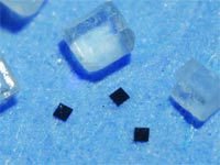 Журнал «Компьютерра» № 6 от 14 февраля 2006 года - _626l1l7.jpg