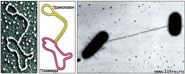 Журнал «Компьютерра» № 7 от 20 февраля 2007 года - _675c6i1.jpg