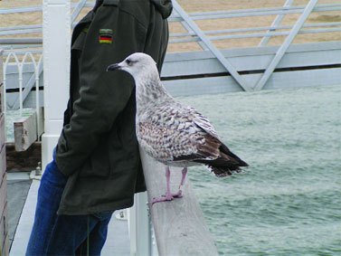 Журнал «Компьютерра» № 7 от 21 февраля 2006 года - _627o22p1914.jpg