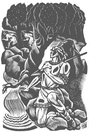 Беовульф. Старшая Эдда. Песнь о Нибелунгах. - i_012.jpg