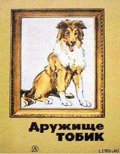 Книга Петька, Джек и мальчишки
