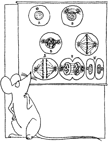 Занимательная биология - i_027.png