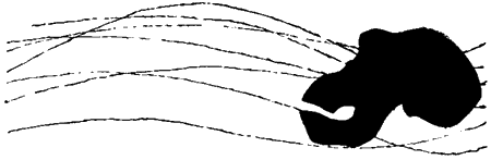 Занимательная биология - i_051.png