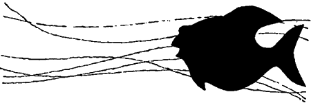 Занимательная биология - i_082.png