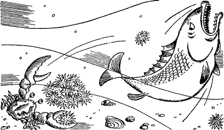 Проблемы этологии - i_010.png