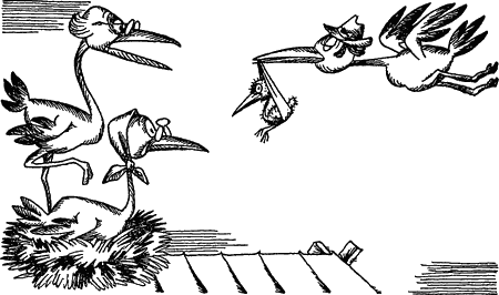 Проблемы этологии - i_022.png