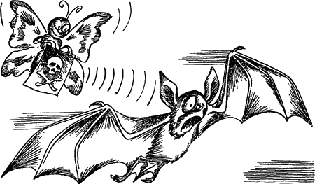 Проблемы этологии - i_042.png