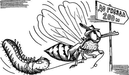 Проблемы этологии - i_048.png