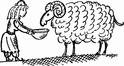 Жизнеописание Сайфа сына царя Зу Язана - i_036.png