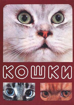 Книга Кошки
