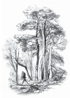 Квадрат 2543 - pic_7.jpg