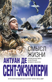 Книга Смысл жизни