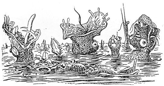 Чужая жизнь - i_009.jpg