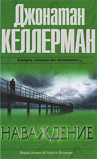 Книга Наваждение