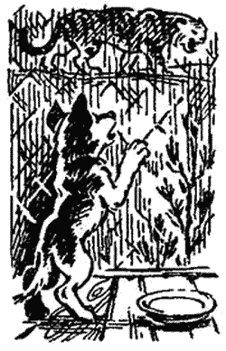 Буран - i_001.png