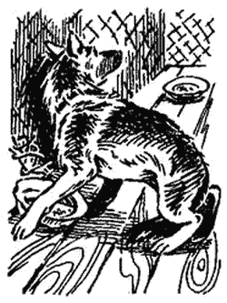 Буран - i_002.png