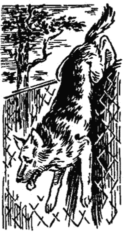 Буран - i_003.png