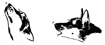 О чем лают собаки - pic_21.png