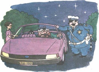 Дядюшка Фистус, или Секретные агенты из Волшебной страны - i_031.jpg