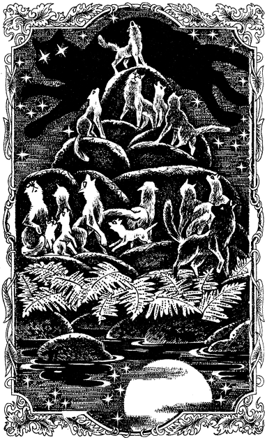 Миссия Огнезвезда. Книга 2. Возрождение - i_001.png