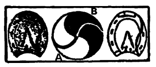 Самые знаменитые головоломки мира - pic_257.png