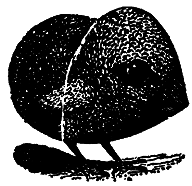 Самые знаменитые головоломки мира - pic_271.png