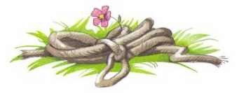 Сказка о похищенной принцессе - i_019.jpg