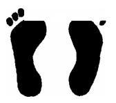 Нарушения письменной речи и их преодоление у младших школьников - i_021.jpg