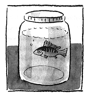 Цацики и его семья - i_016.png