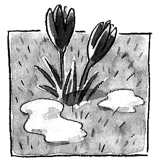 Цацики и его семья - i_032.png