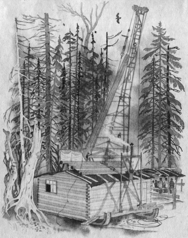 Чудаки с Улики. Зимние птицы - i_014.jpg