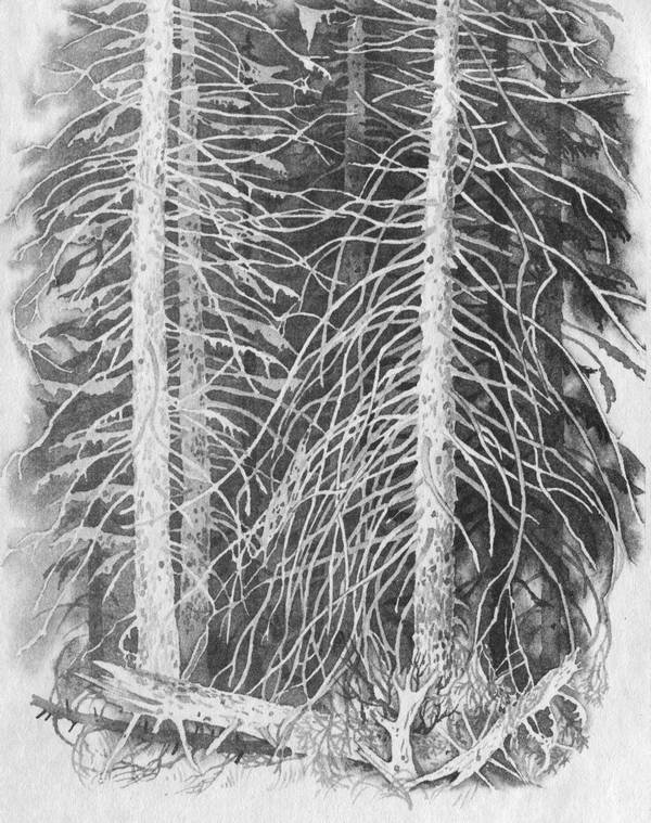 Чудаки с Улики. Зимние птицы - i_015.jpg