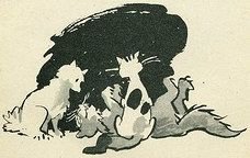 Волшебник - i_021.jpg