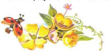 Королевство цветов - i_016.jpg